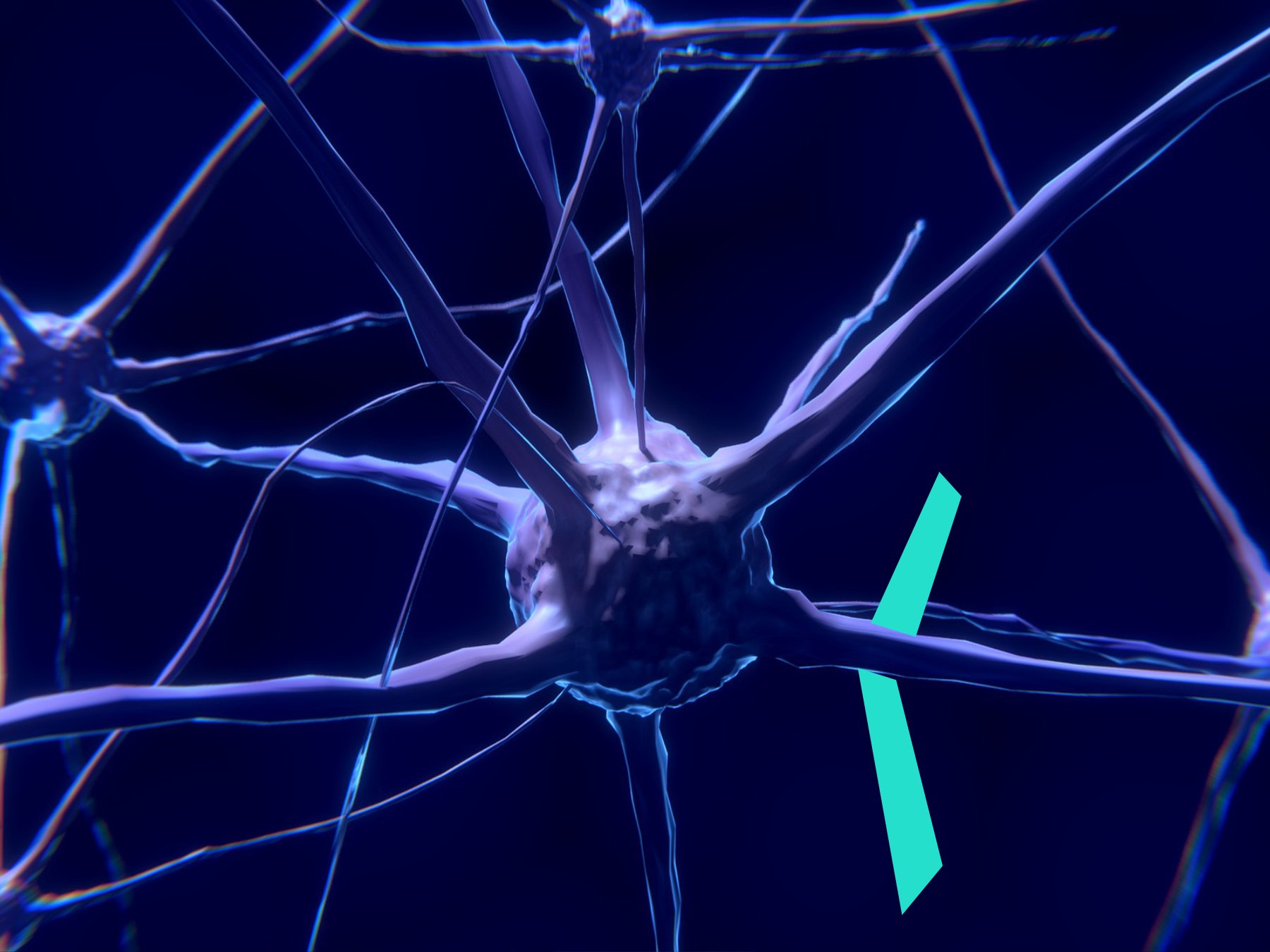 The Neurobiology of Trauma