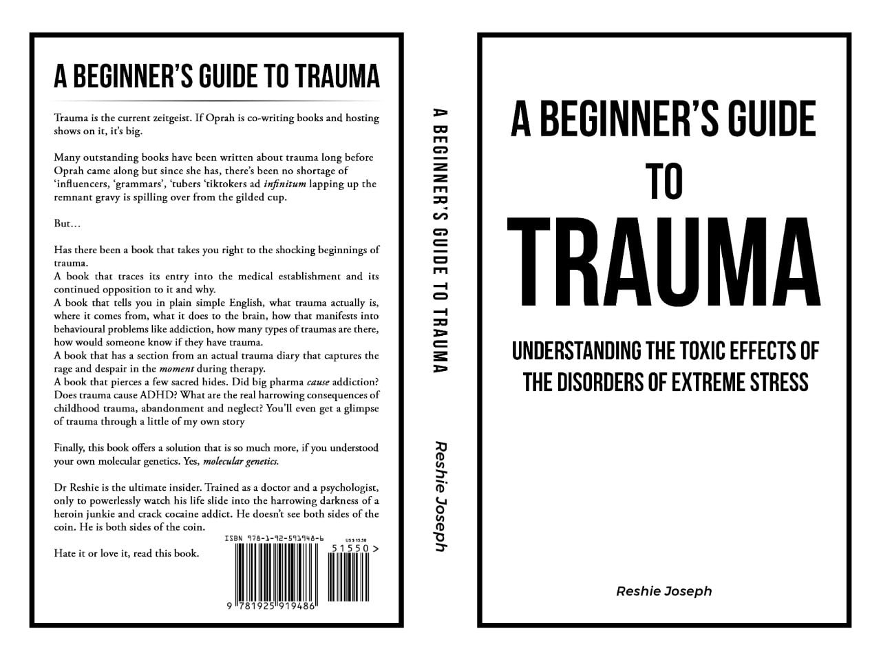 Audio Book - A Beginner's Guide To Trauma: Understanding the Toxic Effects of the Disorders of Extreme Stress - Image 2