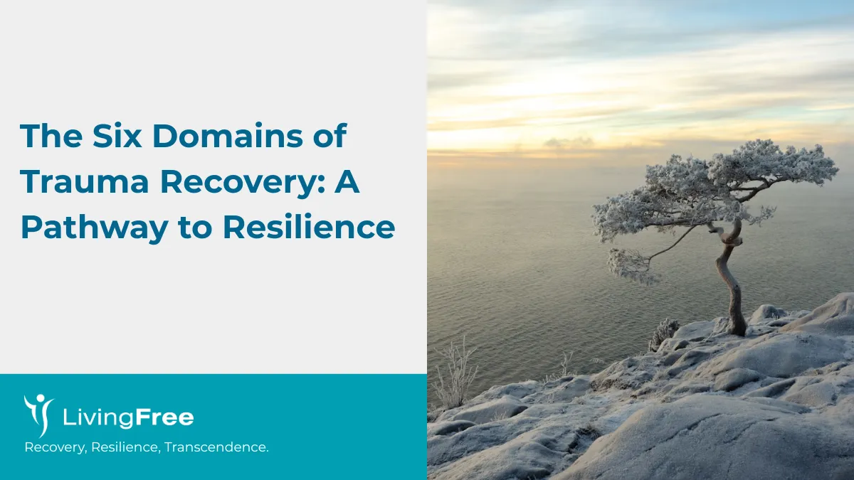 The Six Domains of Trauma Recovery