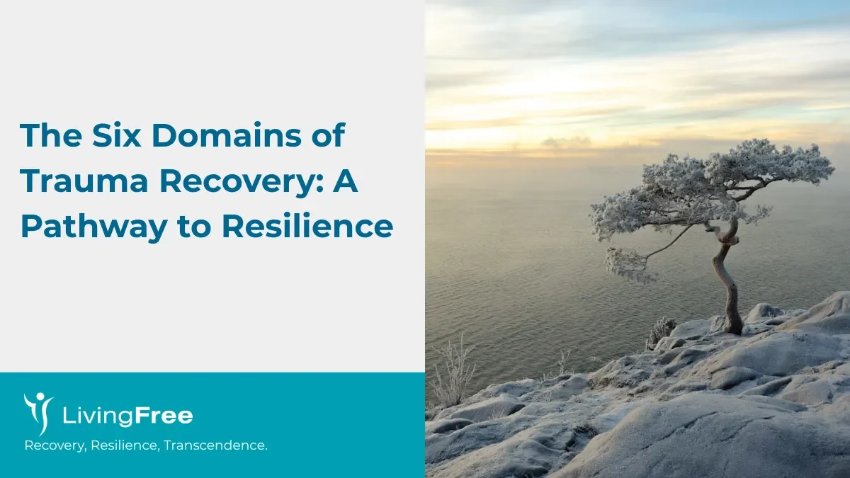 The Six Domains of Trauma Recovery