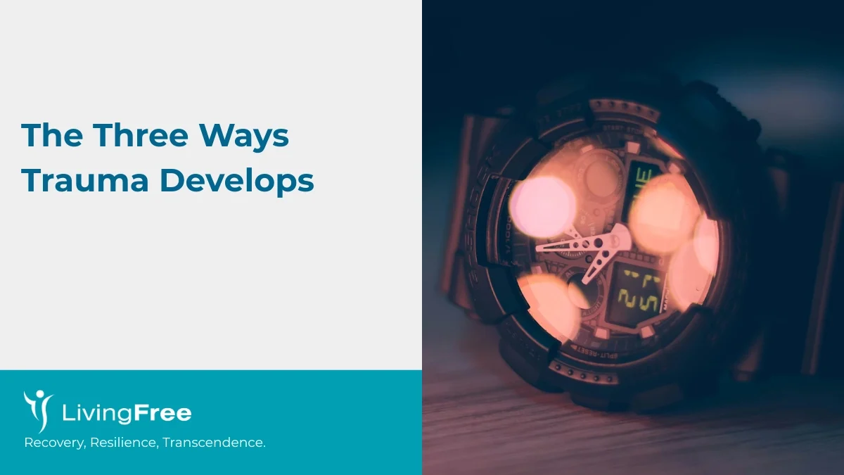 The Three Ways Trauma Develops
