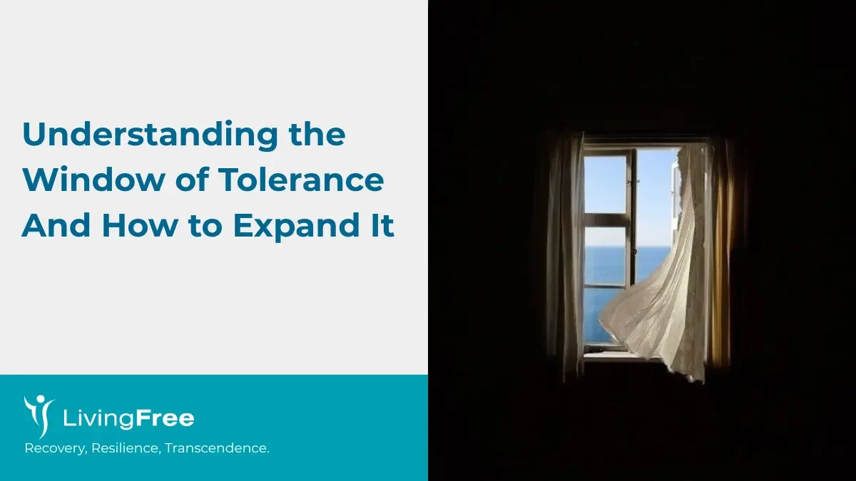 Understanding the Window of Tolerance And How to Expand It