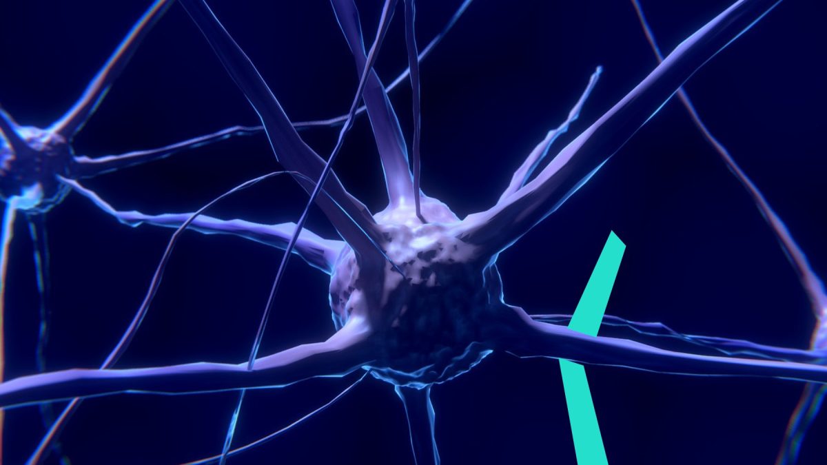 The Neurobiology of Trauma